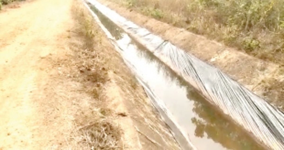 Water of Tillari canal gets wasted at Torxem village