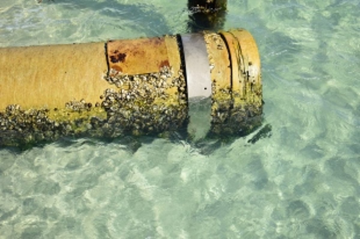 Water pipeline at Fatorda damaged