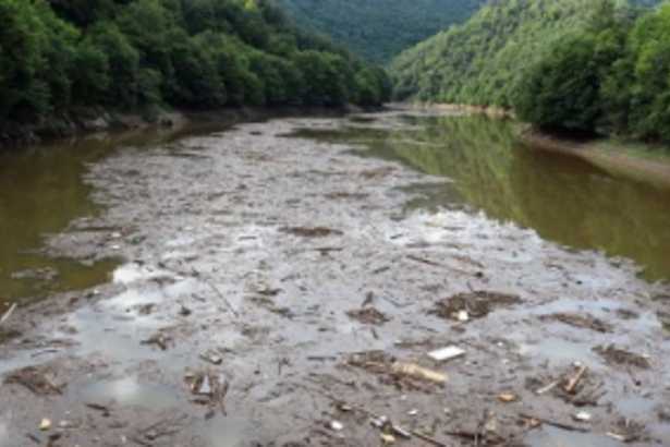 Water pollution claim marine lives in Bailpur river, allege locals