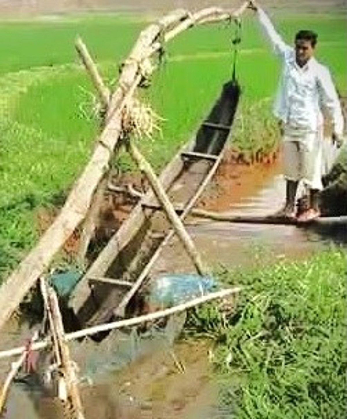 Water wisdom: Exploring traditional irrigation methods from Goa