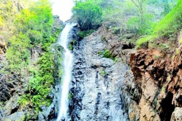 Waterfall ban: Low-risk waterfalls will stay open with lifeguards on duty, says Vishwajit
