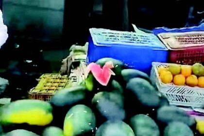 Watermelons sold on Mungul stretch not fit for eating, allege locals