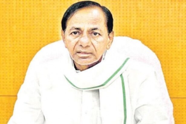 We will get more drug gangsters operating out of their havens in Goa: Hyderabad CP