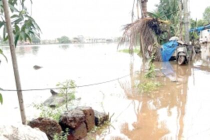 Western Bypass: Hydrology report highlights lapses in WRD study on flood-prone Benaulim village