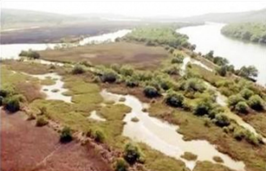 Wetlands of Goa: lack of scientific data 1 Wetlands of Goa: lack of scientific data