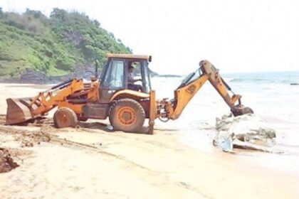 Whale carcass washes up on Polem Beach; creates stink