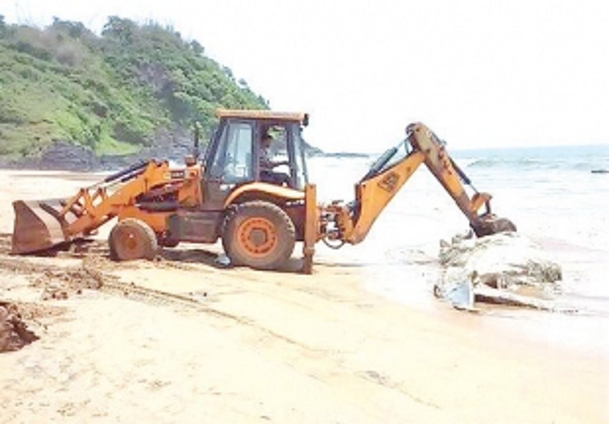 Whale carcass washes up on Polem Beach; creates stink
