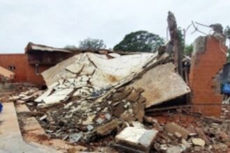 What are the promises that the Government made to the Goan artistes that were not fulfilled?