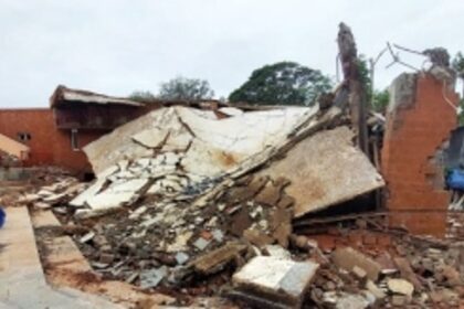 What are the promises that the Government made to the Goan artistes that were not fulfilled?