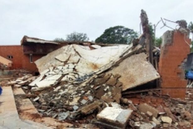 What are the promises that the Government made to the Goan artistes that were not fulfilled?