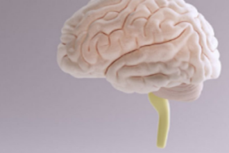 What controls You, Mind or Intellect?