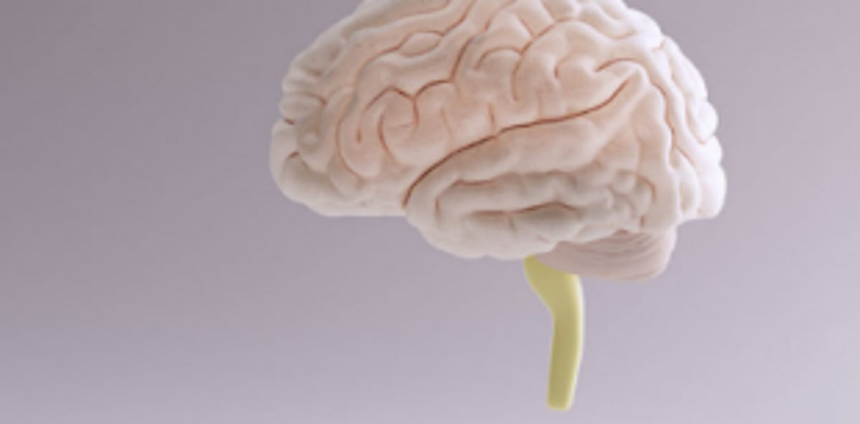 What controls You, Mind or Intellect?