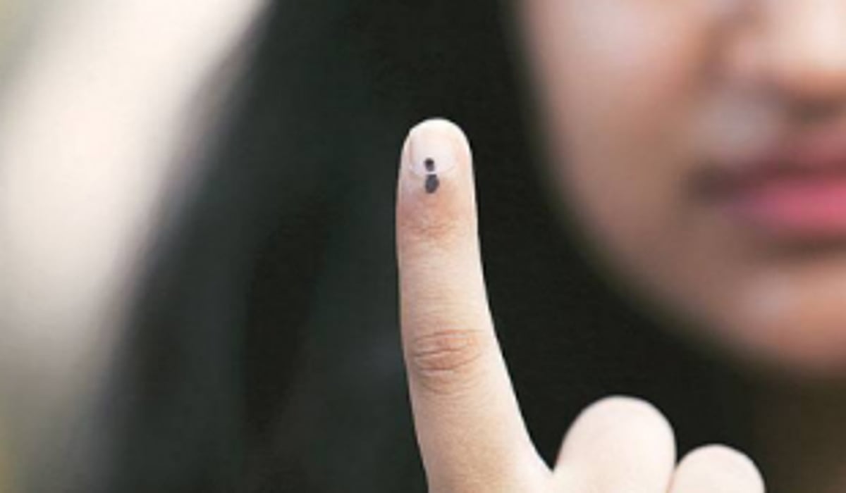 What do voters want?