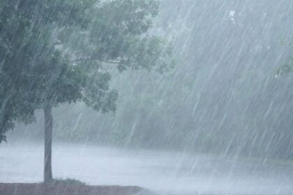 W(h)ater relief: Heavy rains lash Goa