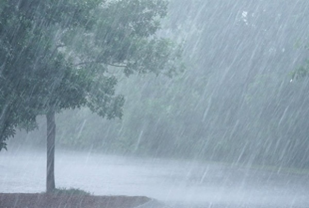 W(h)ater relief: Heavy rains lash Goa