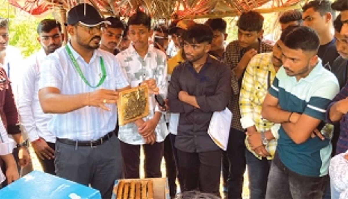 What’s the buzz about bees?