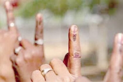 What’s up for the V-Day?