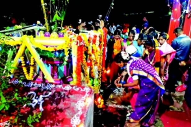 When Cacti pieces lit up Tulsi Vrindavan