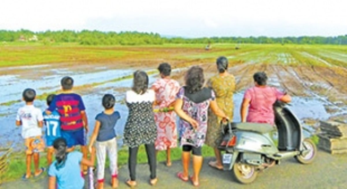 When St Estevam grew paddy to keep the rampaging builders away