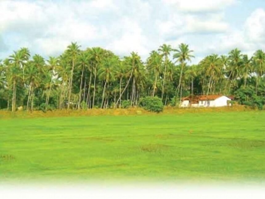 When a Mandate turns Marauder of Mother Nature