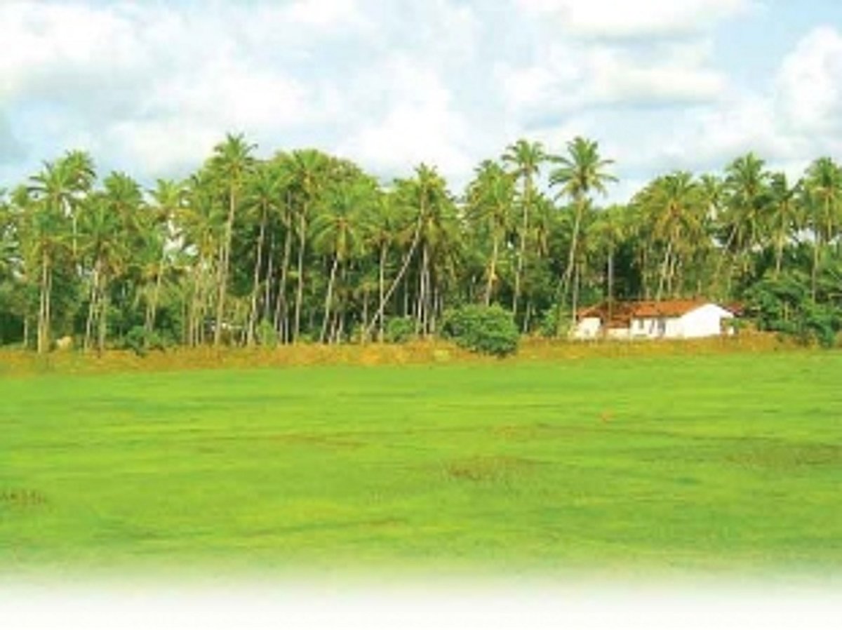 When a Mandate turns Marauder of  Mother Nature