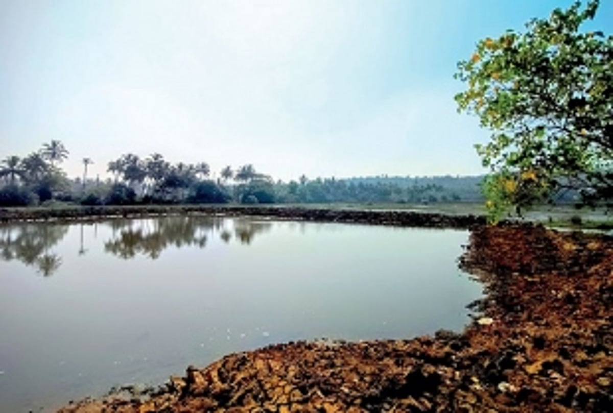 When nature was part of our storytelling in the past