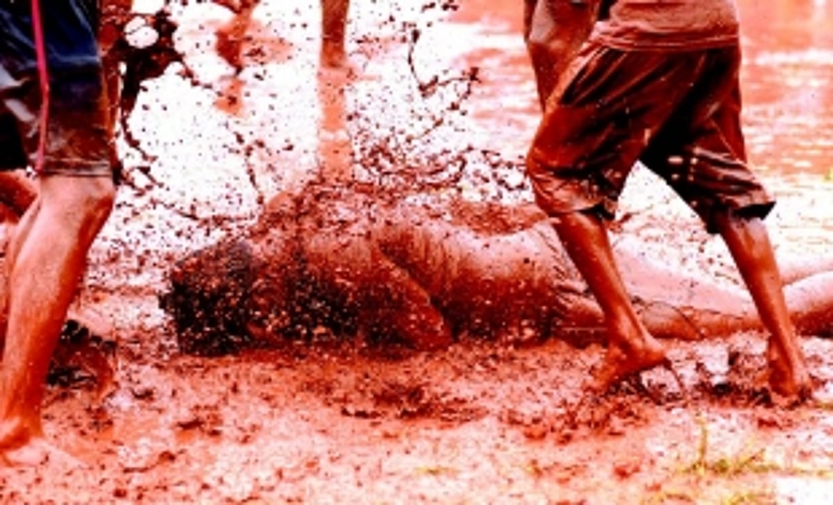 When playing with muck is the order of the day