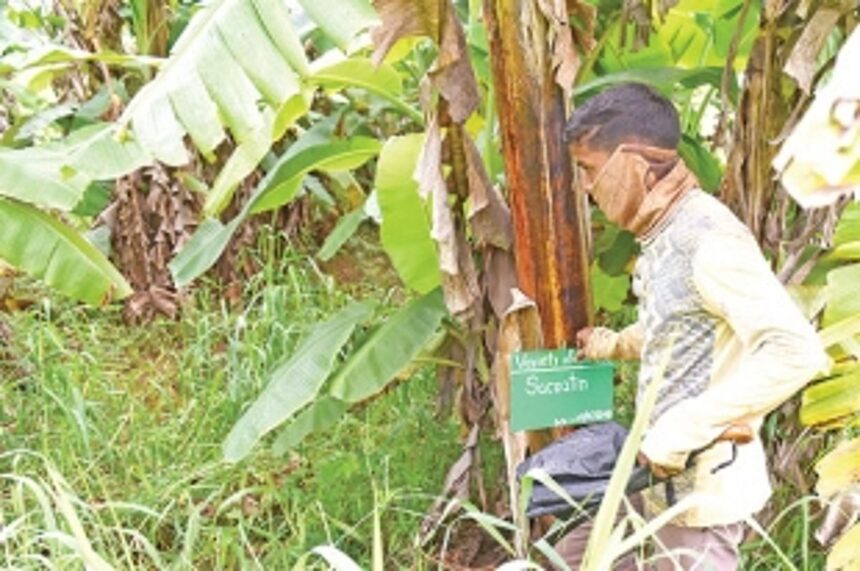 When the office is the farm and farmers are your guides