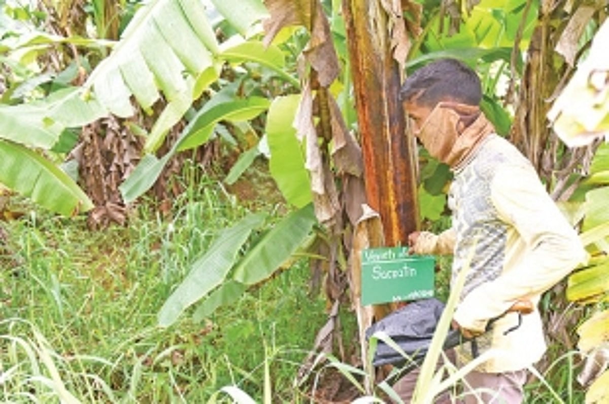 When the office is the farm and farmers are your guides