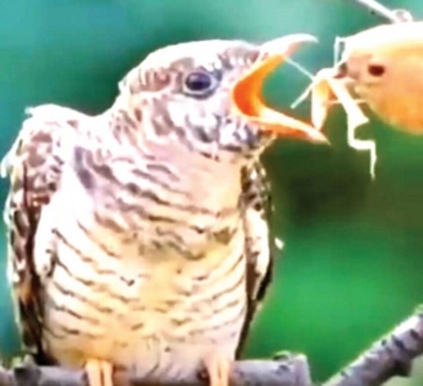 When their elderly need help, what would our ministers and MLAs do?