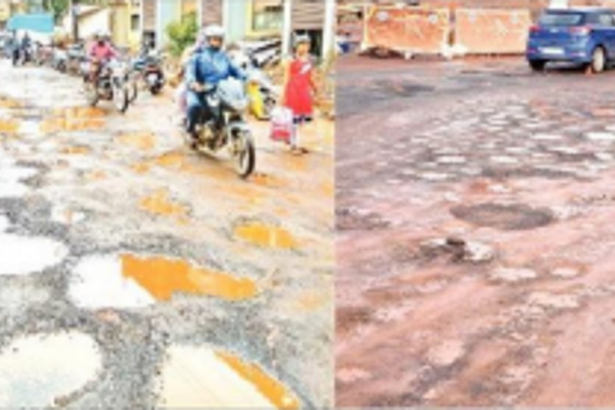 When there is no money to repair potholes, how is the govt building a 12-km road for Rs 30 cr through the Mollem forest?
