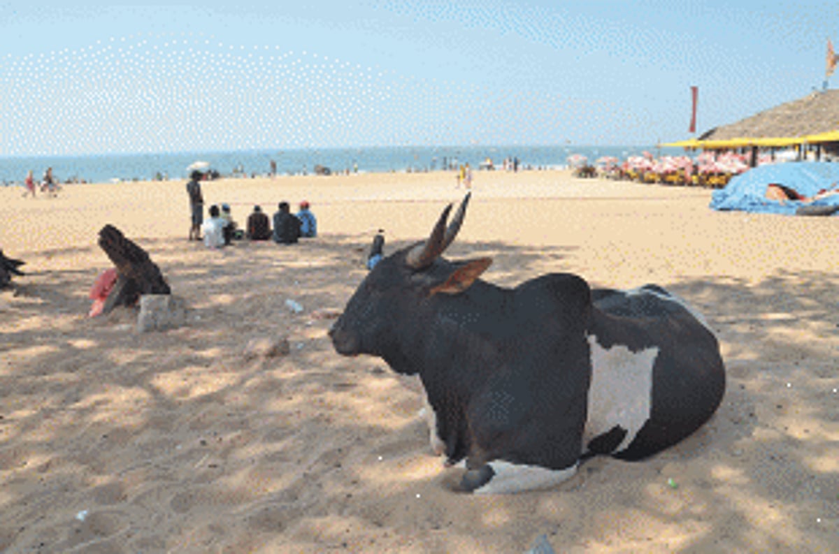 Where are all the tourists?