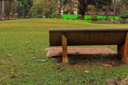 Where is Margao  town heading to?