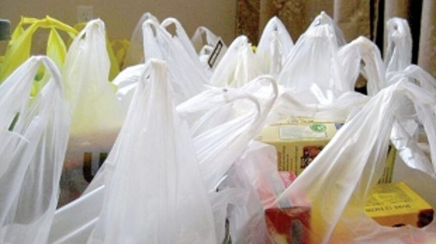 Where is the ban on single-use plastic bags? 1 Where is the ban on single-use plastic bags?