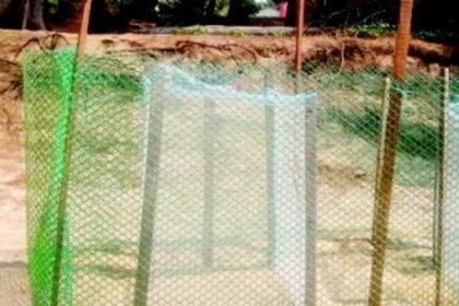 While Galgibaga still awaits Olive Ridley Turtles’ arrival, two turtle eggs sighted at Agonda