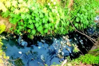 While Ponda’s three STPs remain in limbo, main nullah turns into dumping ground for sewage, garbage