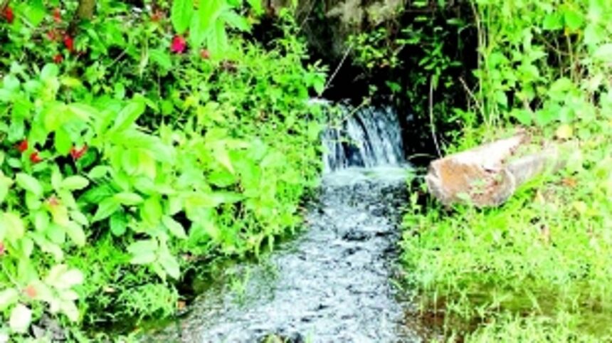 While parched Wadem farmers struggle to irrigate fields, water squandered on wastelands in Cacora 1 While parched Wadem farmers struggle to irrigate fields, water squandered on wastelands in Cacora