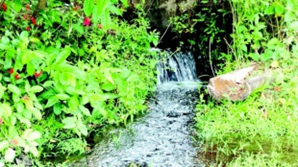 While parched Wadem farmers struggle to irrigate fields, water squandered on wastelands in Cacora