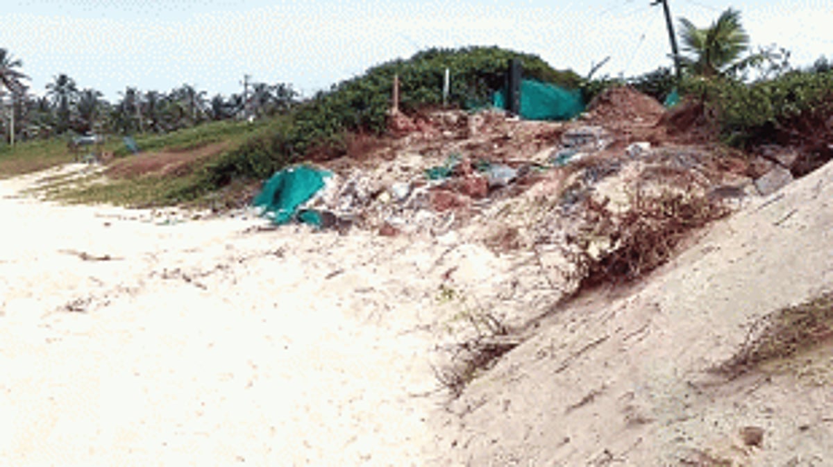 Who dune-it? Xaxticars up the ante against  critical destruction of dunes