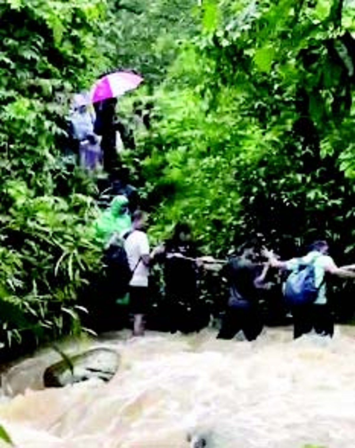 Who rescued the Siolim kids
at the waterfall? Parent and fire officer differ