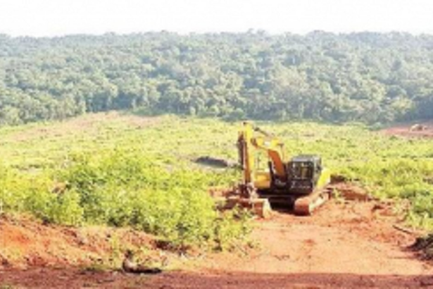 Who will be the voice of our dying Mother-Goa?