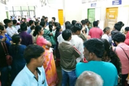 Who will bell the cat?