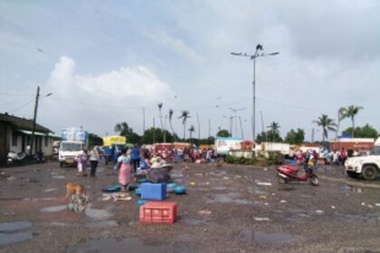 Wholesale fish traders also to be blamed: SGPDA Member Secy