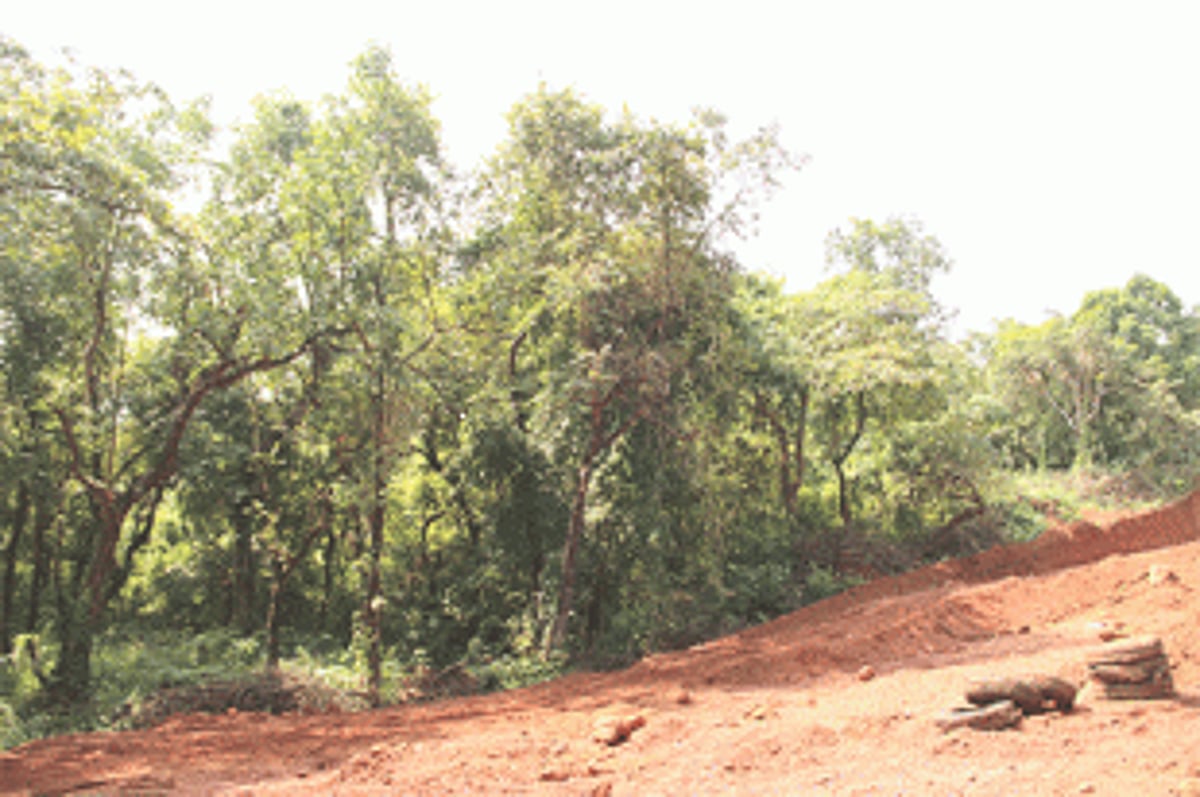 Whose land is it anyway?