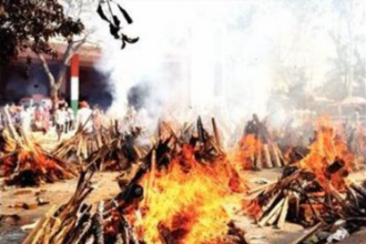 Why behave like sheep  and die like flies?