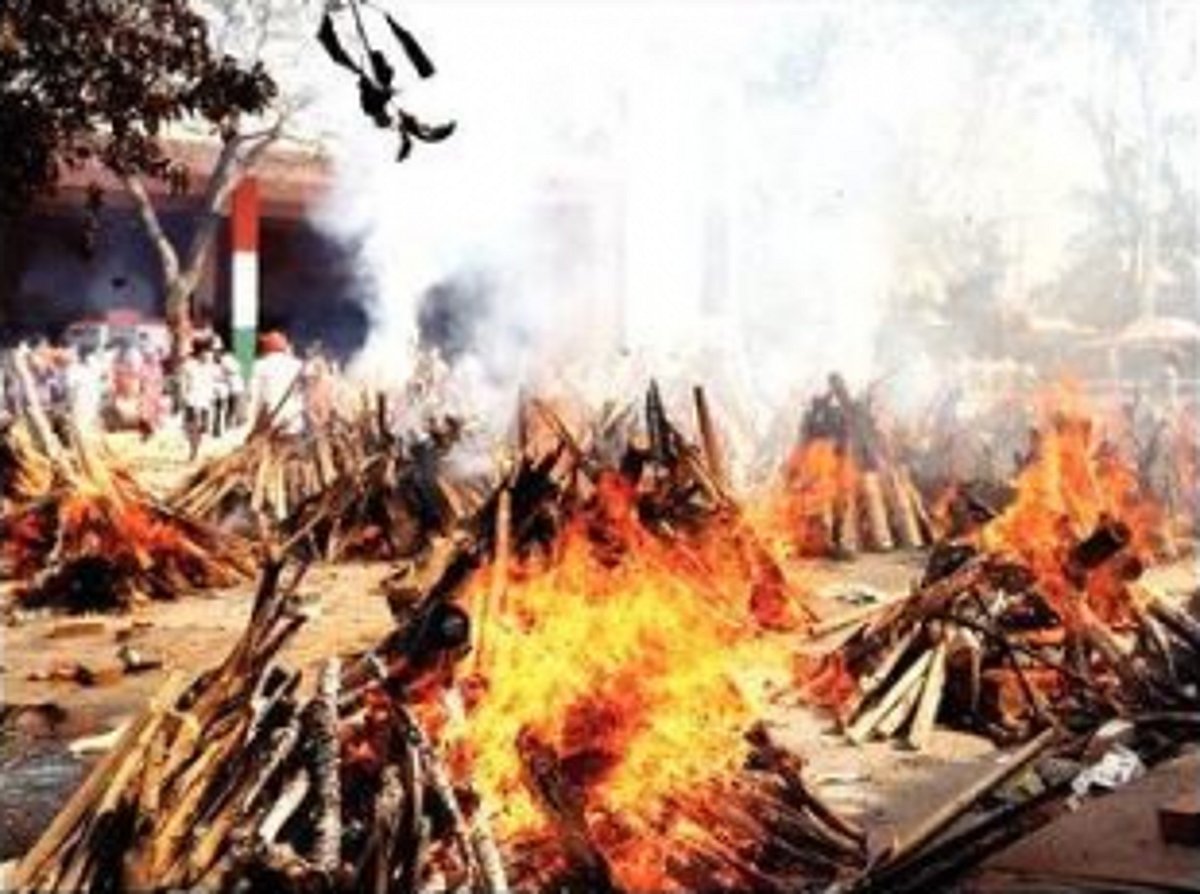 Why behave like sheep  and die like flies?