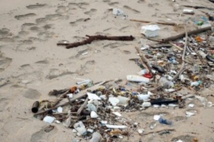 Why does Goa have the most litter on its beaches?