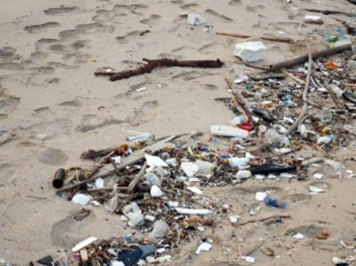 Why does Goa have the most litter on its beaches?