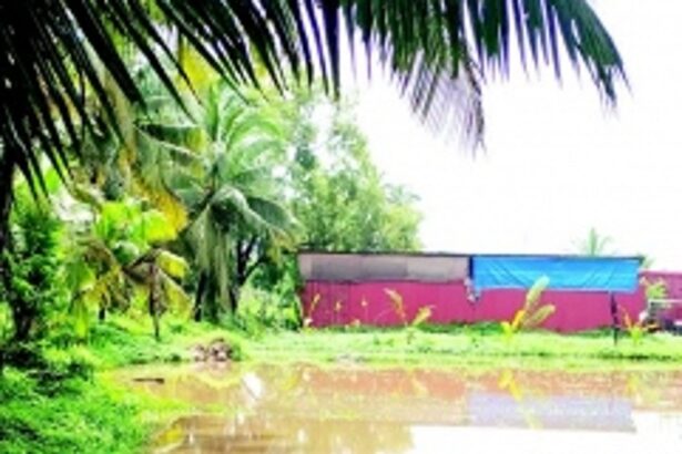 Why is Sangolda panchayat turning a blind eye to illegalities?