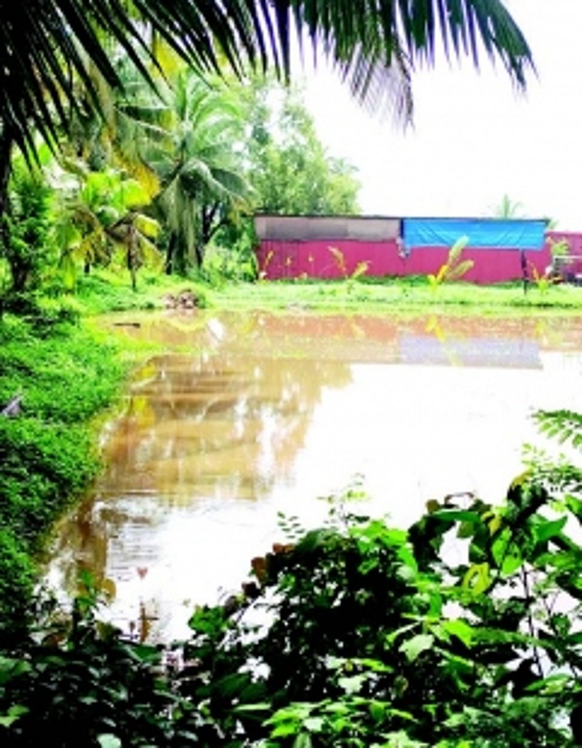 Why is Sangolda panchayat turning a blind eye to illegalities?